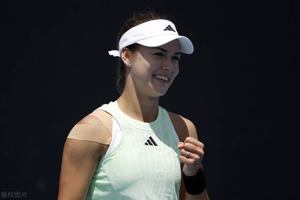 赢得了赞誉 赢得了赞誉